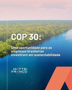 COP 30: Uma oportunidade para as empresas brasileiras investirem em sustentabilidade