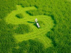 PRINCIPAIS PONTOS DA REFORMA TRIBUTÁRIA PARA O AGRONEGÓCIO