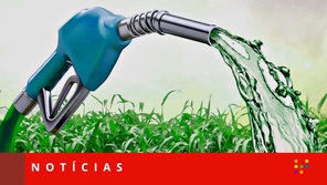 Saiba quem são as Mais Admiradas do setor de Biocombustível